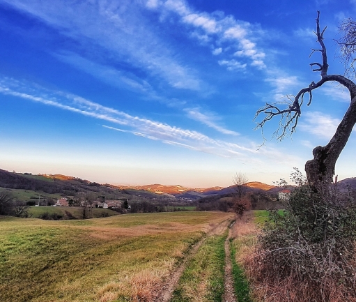 La Gravel sui colli salsesi