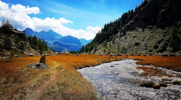 Le mie fatiche dolomitiche