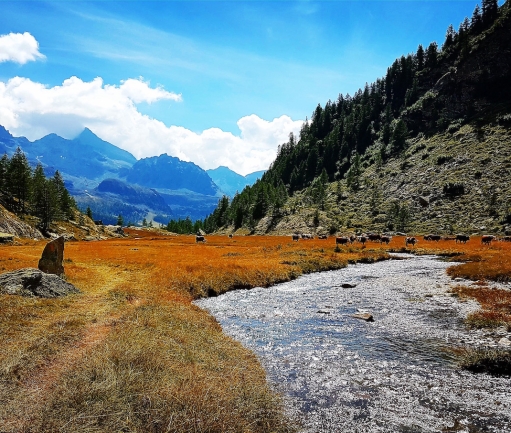 Le mie fatiche dolomitiche